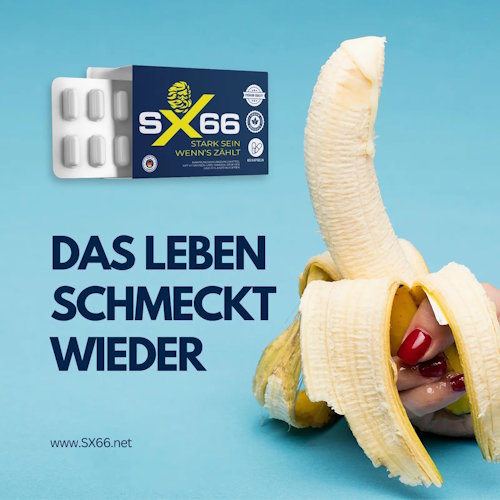 SX66 Einnahme